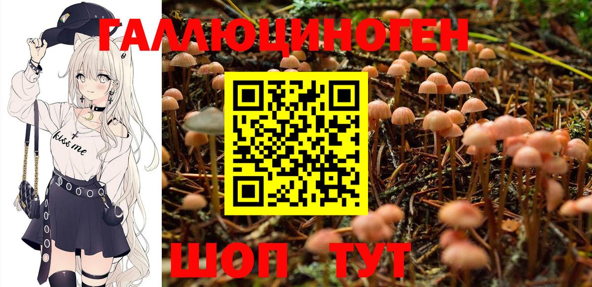 Псилоцибиновые грибы мицелий Тара