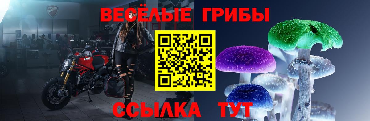 Тара  Галлюциногенные грибы ЛСД  продажа наркотиков  Вход с VPN 